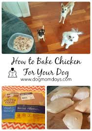 Recipe How To Bake Chicken For Dogs Dog Mom Days Chicken For Dogs Chicken Treats Baked Chicken
