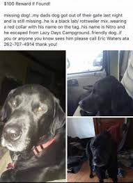 Maybe you would like to learn more about one of these? Missing Dog By Lazy Days Campground Washington County Insider