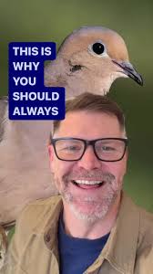 What Is The Spiritual Uses of Burying Dove