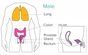 Remember that the earlier lung cancer is detected, the faster you can begin treatment, increasing the. Signs And Symptoms Let S Talk About Cancer