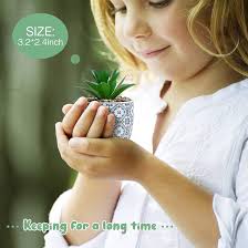 Amazon.com: Karlliu Plantas artificiales suculentas en maceta de cerámica,  paquete de 2 plantas falsas pequeñas en maceta para decoración de  escritorio de oficina en casa, decoración de escritorio, sala de estar, :