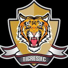 The initial corner odds is 9. Tigres F C Unicah Home Facebook