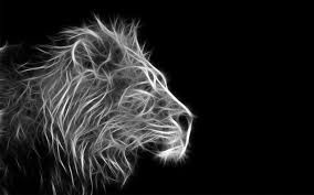 Black And White Wallpaper Hd Desktop Lion Black And White Backgrounds For Desktop Wallpaper Lion Wallpaper Lion Hd Wallpaper Animal Wallpaper