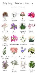 20 Of Our Favorite Styling Flowers Becki Owens Popular Flowers Flower Names Types Of Flowers