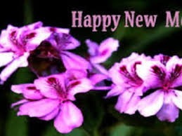 This month in our nation's character is black history month. 50 Happy New Month Messages May New Month Prayers For May