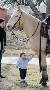 𝗪𝗶𝗻𝘁𝗲𝗿 𝗯𝗮𝗿𝗻 𝗵𝗮𝗰𝗸 𝗳𝗼𝗿 𝗯𝗿𝗲𝗮𝗸𝗶𝗻𝗴 𝗶𝗰𝗲! I can't  stand it when my hands get wet from having to use one end of a stall fork  to break the ice and the other