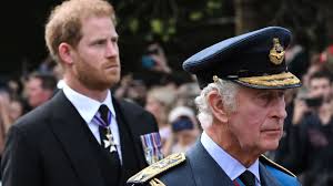 Trend Google: meghan, duchessa di sussex