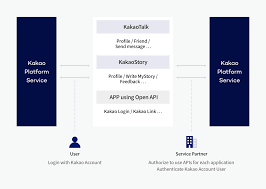 Requirements for cash app for unsupported countries. Understand Kakao Platform Kakao Developers Docs