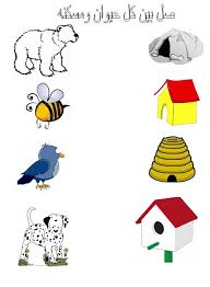 اوراق عمل لوحدة المسكن Kids Learning Activities Early Learning Activities Preschool Activities