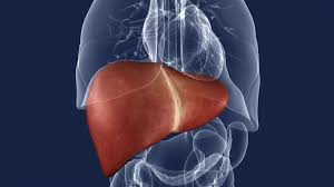 Simptome ale durerilor de ficat 3. Ai Aceste Simptome Mergi De UrgenÅ£Äƒ La Medic Ficatul TÄƒu Nu Mai FuncÅ£ioneazÄƒ Cum Trebuie