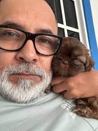 La casita de los Shih Tzu...