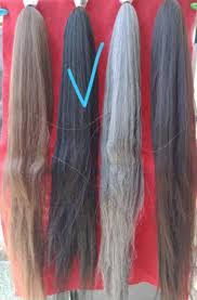 Seperti dikutip dari science alert, senin (12/10/2020). Rambut Palsu Antol Cemare Cemara Shopee Indonesia