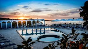 Top 20 cele mai frumoase flori din lume blogul hotelguru ro. Top 10 Pensiuni Cu Piscine Uimitoare In Romania Kfetele