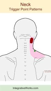 Pin On Neck Exercises