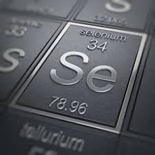 Image result for Selenium