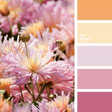 Summer soft pink blue purple gradient neon color matching plant sns mobile phone promotion promotional page. Soft Pink Color Palette Ideas