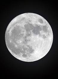 Find out what's going on or going crazy on north padre and mustang islands. Neil Degrasse Tyson Tren Twitter Oct 20 2021 Full Moon Today Fyi The Strength Of The Moon S Tides On Earth Have Nothing To Do With The Moon S Phase During Full Moon