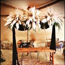 At tammy's floral, we will not only capture your dreams for any event with design or gorgeous arrangements, we will also bring this joy into your home through an extensive selection of indoor plants complemented with all the guidance one would need on their care. Flowers By Tammy Home Facebook