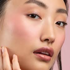 NEW Pressed Powder Blush is...