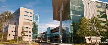 Farmington Musculoskeletal Institute Orthopedics Sports Medicine