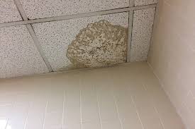 In most cases, you find out about a roof leak by seeing a water stain on your ceiling. The Most Effective Roof Leak Repair Tips For Brampton Residences