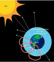 They get their name from greenhouses. 100 Points Identify The Arrows That Indicate Heat Being Trapped By Greenhouse Gases Brainly In