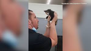 Heading towards his middle ages, aziz is not content with his life. Mechanics Take Car Apart To Rescue Kitten Stuck In Dashboard Metro Video