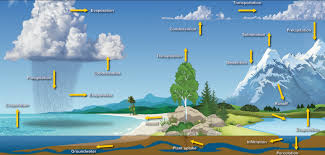 Water Cycle National Oceanic And Atmospheric Administration