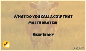What do you call an evil cow? 32 Jerky Jokes That Will Make You Laugh Out Loud