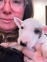 Should club welcome hunters with dogs?