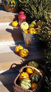 Epingle Sur Jardin