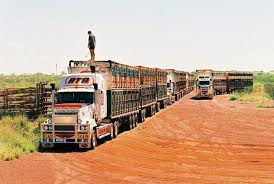 Wickhams Neat Kenowrth T650 Road Train At Goolgowi Nsw Road Train Train Truck Big Trucks