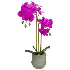 Perfect for orchids, african violets and other fine plants requiring great drainage and airflow. Northlight 14 Purple Artificial Orchid Plant With A Gray Stone Pot Target