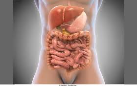 Darmverschluss und darmlähmung werden als ileus bezeichnet. Symptome Bei Darmverschluss Ursachen Und Therapie