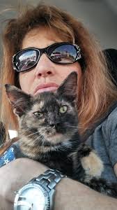 Free kitten near gas station in upstate south carolina