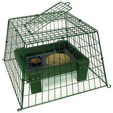 Best Bird Feeders For Small Birds Uk Ground Secure Small Mesh Ground Bird Feeder Bird Feeders Uk Bird Feeding Station