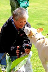 We go beyond traditional puppy classes in that we offer a lot more than an introduction to obedience. Board And Train Dog Training Puppy Training California Dog Training