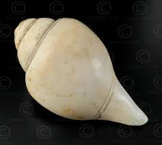How to make a conch shell horn. Conch Shell Horn Pk196 Pakistan