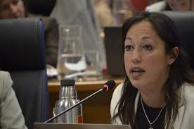 Cardona presentó ante la Comisión de Presupuesto los compromisos  estratégicos del MIEM