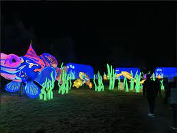 New Fun Glow Fari Exhibit At The Oakland Zoo Amadorvalleytoday