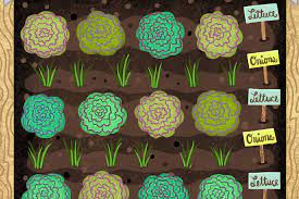 The largest home and garden show in cleveland, ohio, this show features landscaping companies, remodeling contractors, interior design companies, and more. Backyard Garden Guide