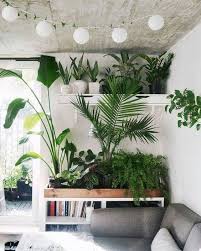 Plants On Shelves And Floating Drawer Shelves Interior Plants Plants Indoor Plants