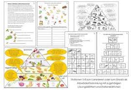 Maybe you would like to learn more about one of these? 24 Ernahrung Stationenlernen Ideen Ernahrung Gesunde Ernahrung Grundschule Gesundheitserziehung