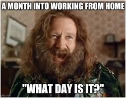 Working from home memes that are hilariously accurate. Best Working From Home Memes Of 2020 From Virtual Vocations