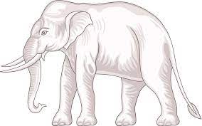 Free Free 328 Black And White Elephant Svg SVG PNG EPS DXF File