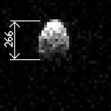 Image result for asteroid bennu egg