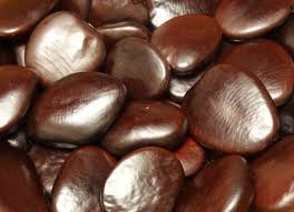 Image result for Intsia