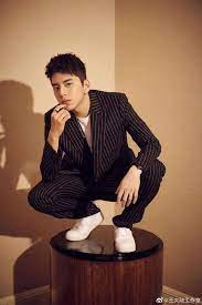 you 王肖 wangtalu 王大陆 darren wang darren wang chinese actress actors