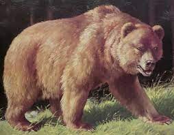 There are definitely grizzlies in those parts. Extinct Mexican Silver Grizzly Bear