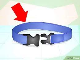 4 Ways To Clean Dog Collars Wikihow